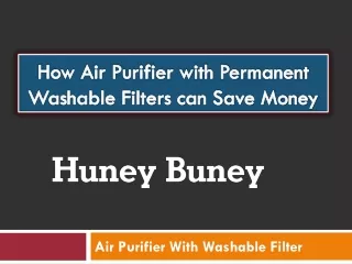 How Air Purifier with Permanent Washable Filters can Save Money