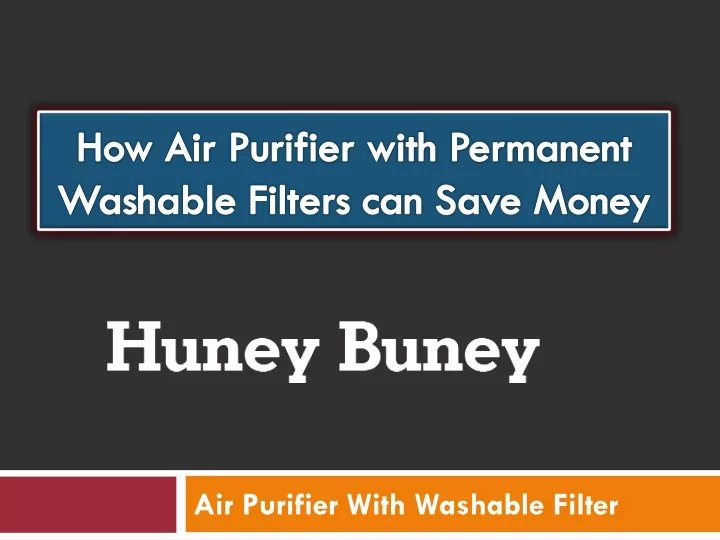 how air purifier with permanent washable filters can save money