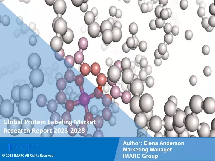 global protein labeling market research report