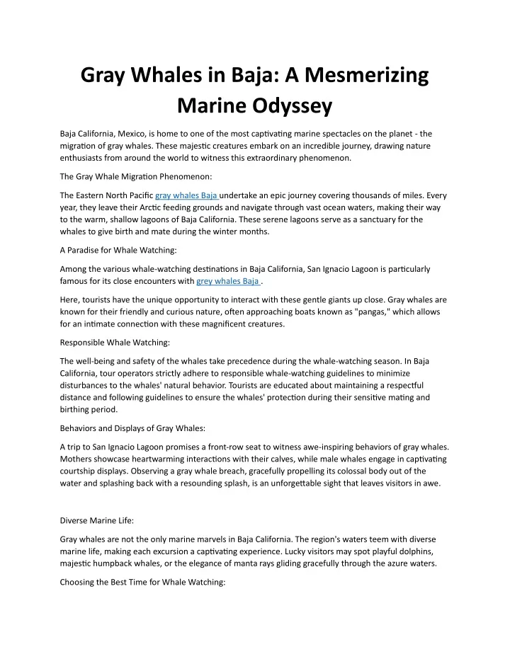 gray whales in baja a mesmerizing marine odyssey
