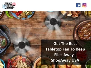 Get The Best Tabletop Fan To Keep Flies Away - ShooAway USA