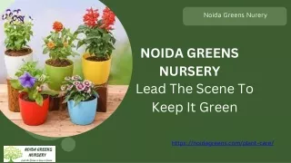 Importance Of Outdoor Plants In Noida
