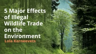 5 Major Effects of Illegal Wildlife Trade on the Environment - Lola Korneevets