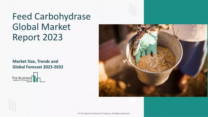 feed carbohydrase global market report 2023