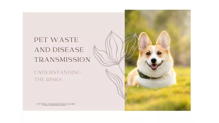 pet waste and disease transmission