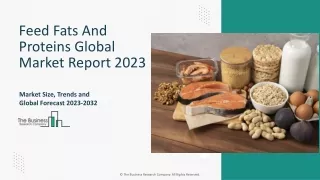feed fats and proteins global market report 2023