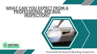 what can you expect from a professional