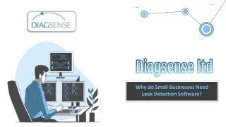 Why do small businesses need leak detection software