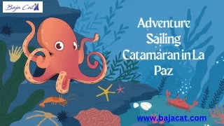 Adventure Sailing Catamaran in La Paz