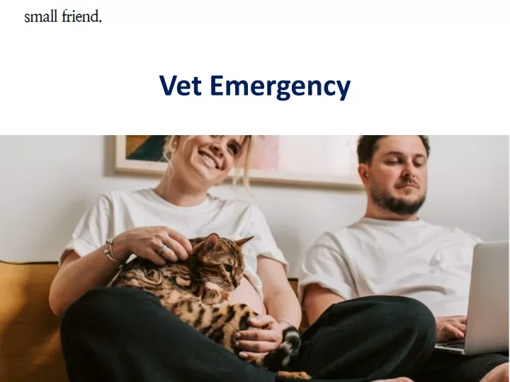 vet emergency