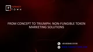 From Concept to Triumph Non-Fungible Token Marketing Solutions