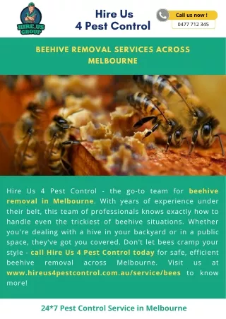 Beehive Removal Services Across Melbourne