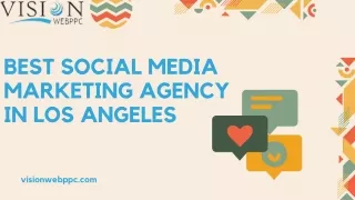 Visionwebppc - Best Social Media Marketing agency in Los angeles