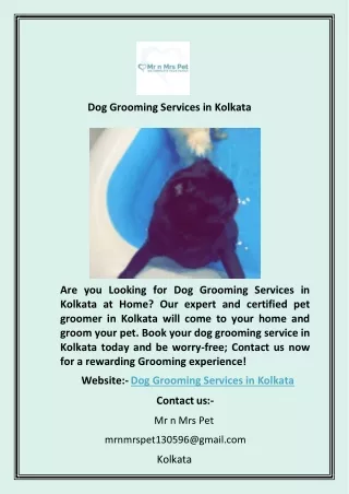 Dog Grooming Services in Kolkata