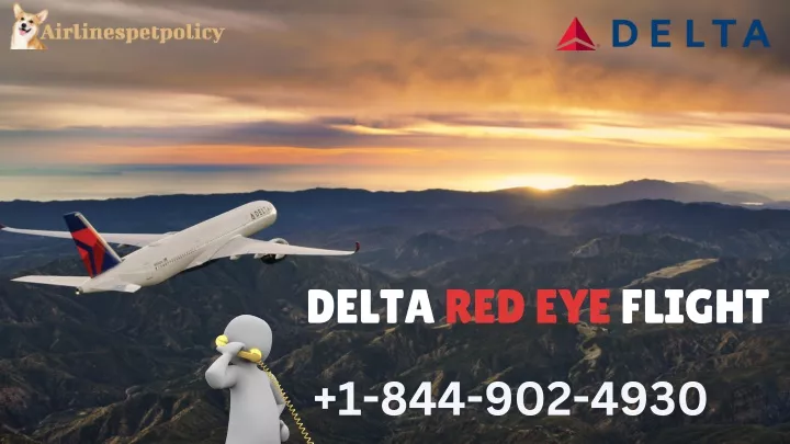 delta red eye flight