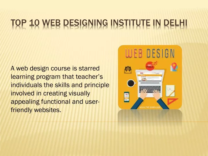 top 10 web designing institute in delhi
