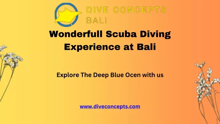 wonderfull scuba diving experience at bali