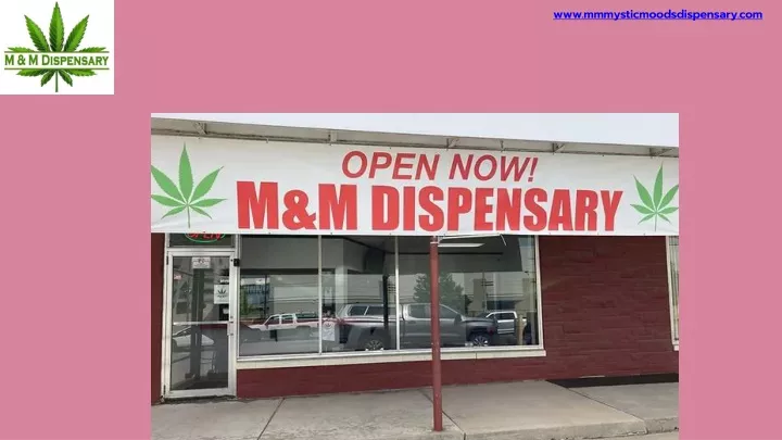 www mmmysticmoodsdispensary com