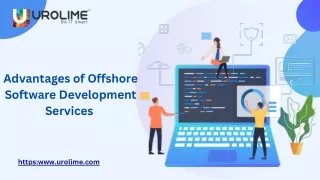 advantages of offshore software development