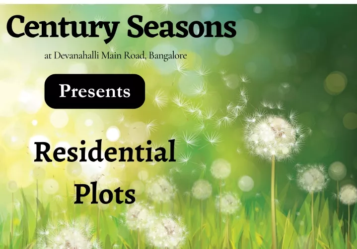 century seasons presents