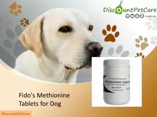 Fido's Methionine Tablets for Dogs - Urinary Health Support