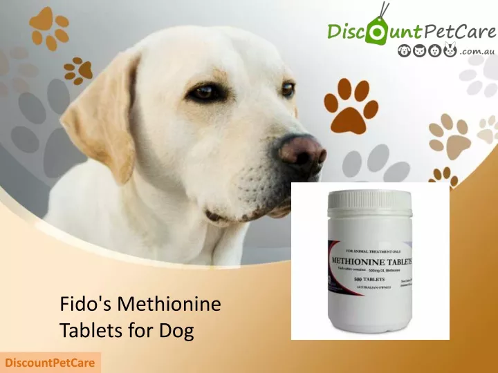 fido s methionine tablets for dog