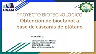 proyecto biotecnol gico obtenci n de bioetanol