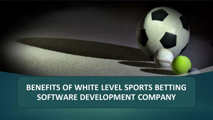 benefits of white level sports betting software development company