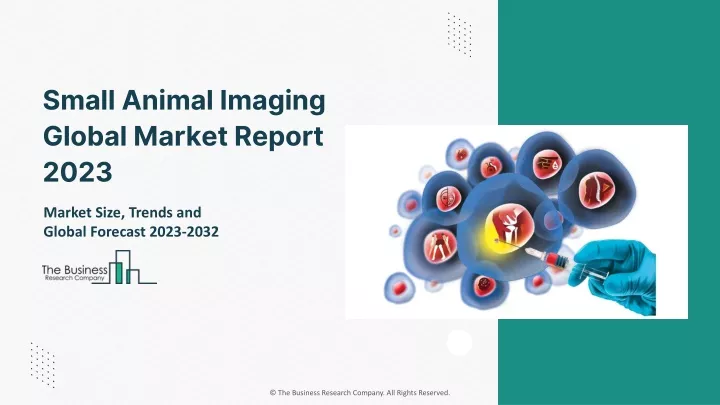 small animal imaging global market report 2023
