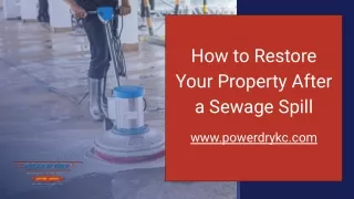 How to Restore Your Property After a Sewage Spill