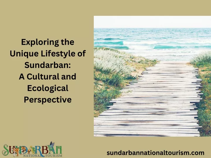 exploring the unique lifestyle of sundarban