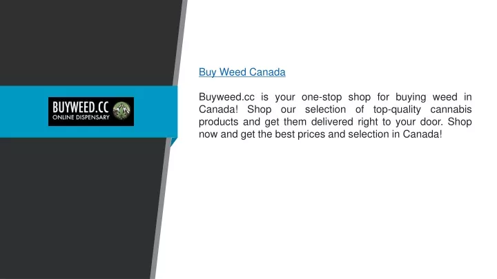 buy weed canada buyweed cc is your one stop shop