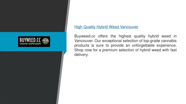 high quality hybrid weed vancouver buyweed