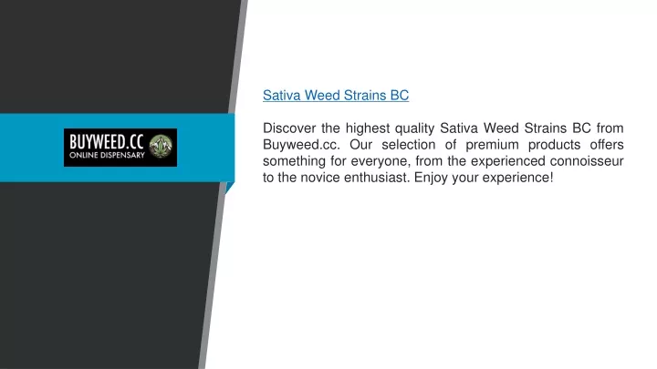 sativa weed strains bc discover the highest