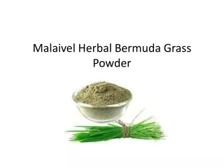 Bermuda Grass Powder