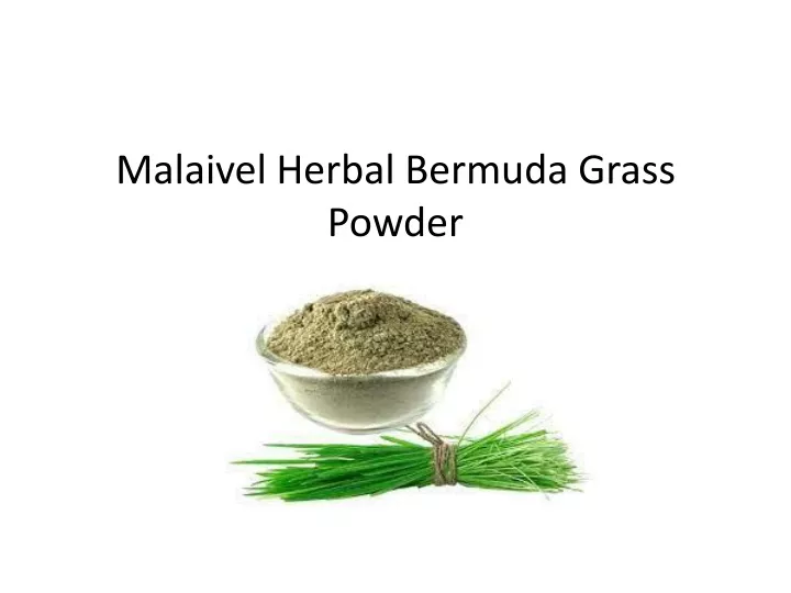malaivel herbal bermuda grass powder