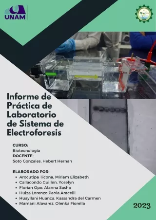 Informe de Práctica de Laboratorio de Sistema de Electroforesis