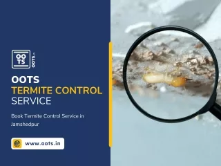 Termite Control Service In Jamshedpur | OOTS