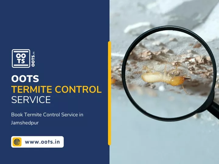 oots termite control