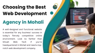 Choosing the Best Web Development Agency in Mohali