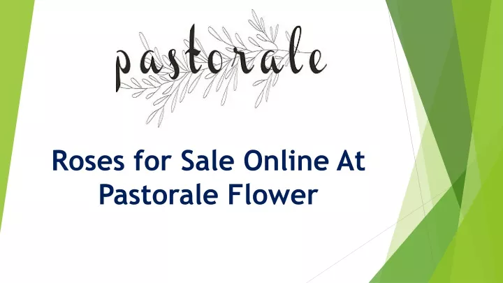roses for sale online at pastorale flower