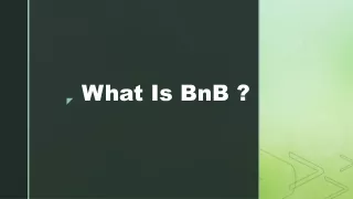 What Is BnB?