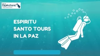 Espiritu Santo in Tours La Paz