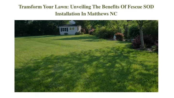 transform your lawn unveiling the benefits