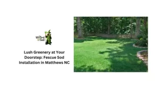 Lush Greenery At Your Doorstep Fescue Sod Installation In Matthews NC