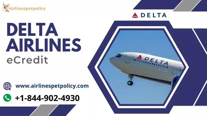 delta airlines ecredit