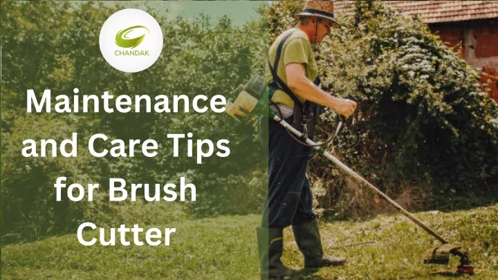 maintenance and care tips for brush cutter