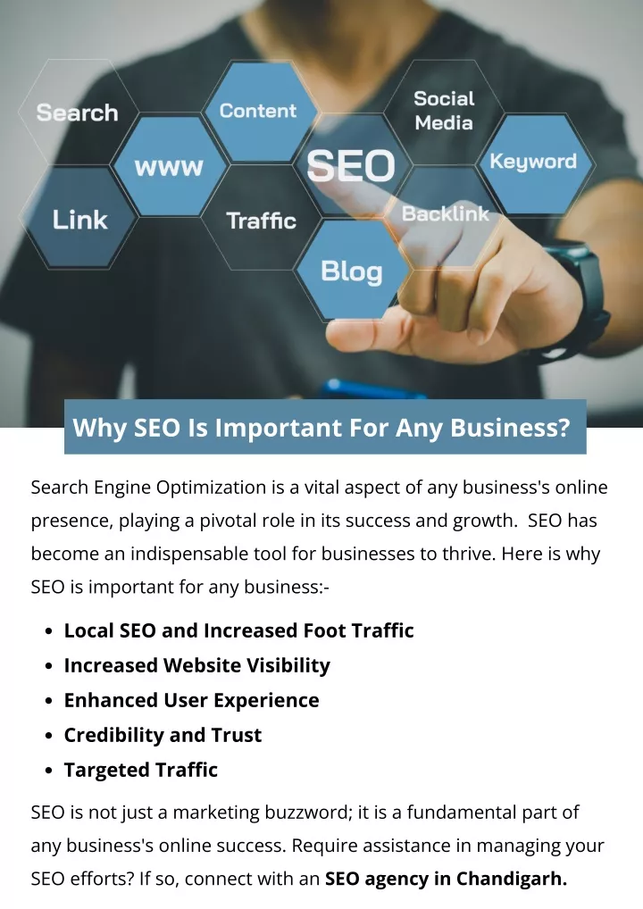 why seo is important for any business