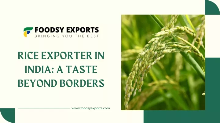 rice exporter in india a taste beyond borders