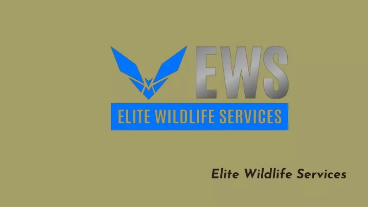 elite wildlife services